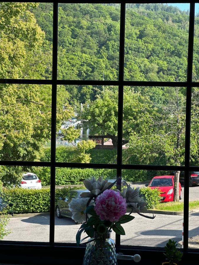 Green Seeblick Hotel Am See Obermaubach Extérieur photo